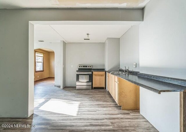 kitchen featuring light hardwood / wood-style flooring, stainless steel electric range oven, sink, and kitchen peninsula