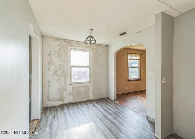 unfurnished room featuring a wealth of natural light and wood-type flooring