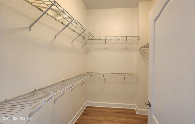 spacious closet with hardwood / wood-style flooring