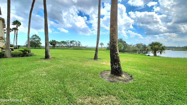 view of yard with a water view