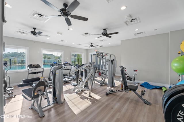 exercise room featuring ceiling fan and light wood-type flooring