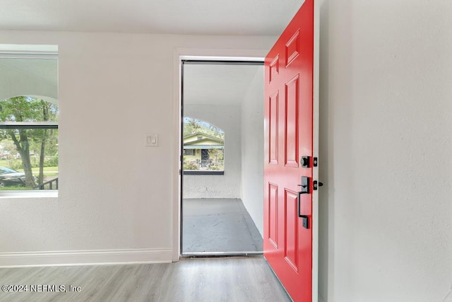 entrance foyer with light wood-type flooring and plenty of natural light