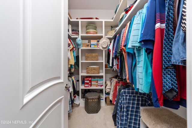 walk in closet featuring light colored carpet