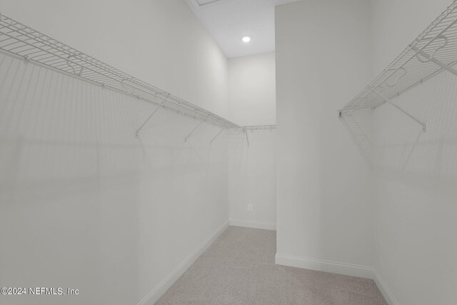 spacious closet featuring carpet floors