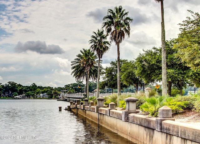 property view of water