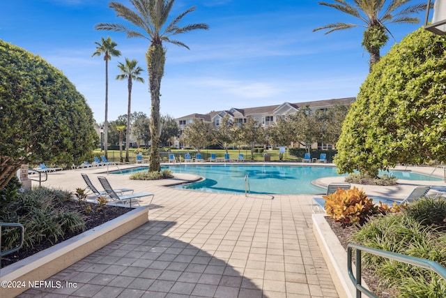 view of swimming pool with a patio area