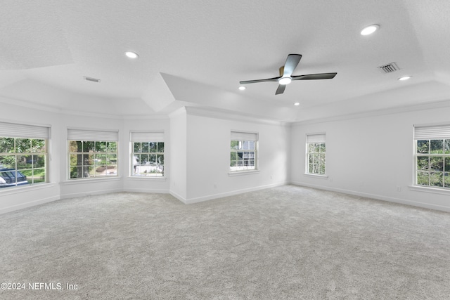 carpeted empty room featuring ceiling fan, a healthy amount of sunlight, a textured ceiling, and a raised ceiling