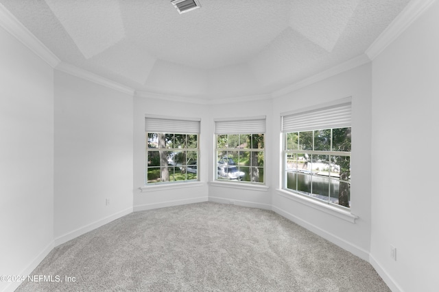 spare room with carpet flooring, a textured ceiling, and ornamental molding