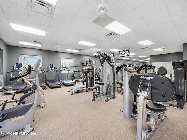 workout area featuring carpet and a paneled ceiling