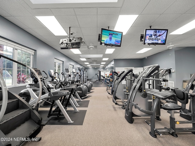 gym featuring a drop ceiling and carpet flooring