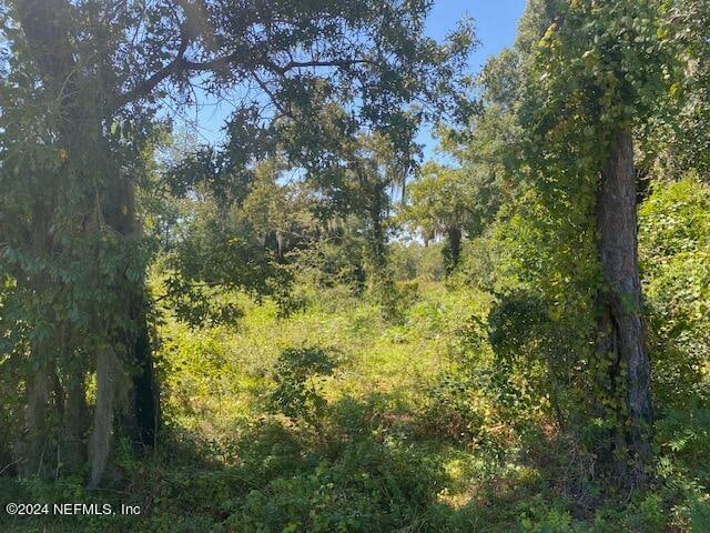 148 Long Branch Trl, Interlachen FL, 32148 land for sale