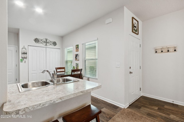 kitchen with a kitchen breakfast bar, dark hardwood / wood-style floors, and sink