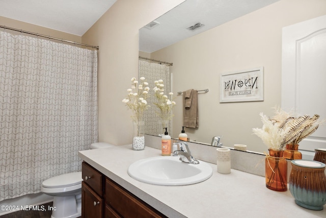 bathroom featuring vanity, toilet, and a shower with curtain