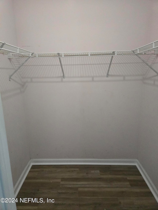 walk in closet featuring dark hardwood / wood-style flooring