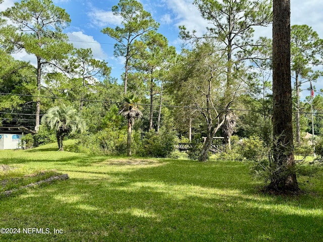 view of yard