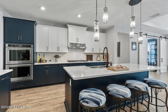 kitchen featuring a barn door, sink, appliances with stainless steel finishes, and an island with sink