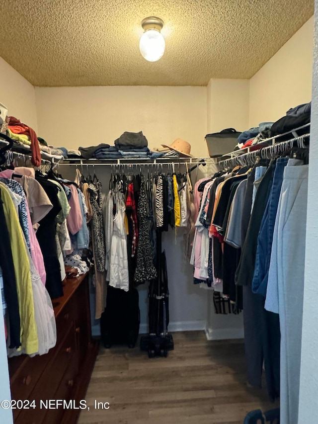 spacious closet with wood-type flooring