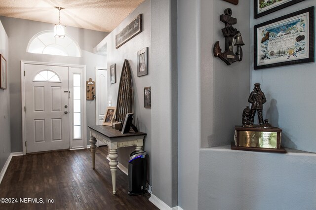 foyer with a textured ceiling, dark hardwood / wood-style floors, and a healthy amount of sunlight