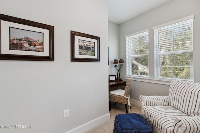 living area featuring light carpet