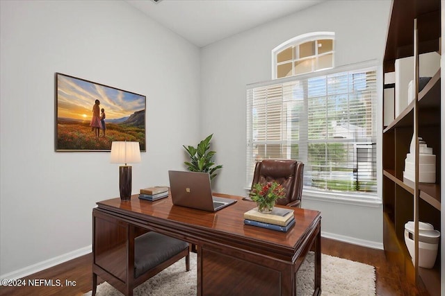 office area with a wealth of natural light and dark hardwood / wood-style floors