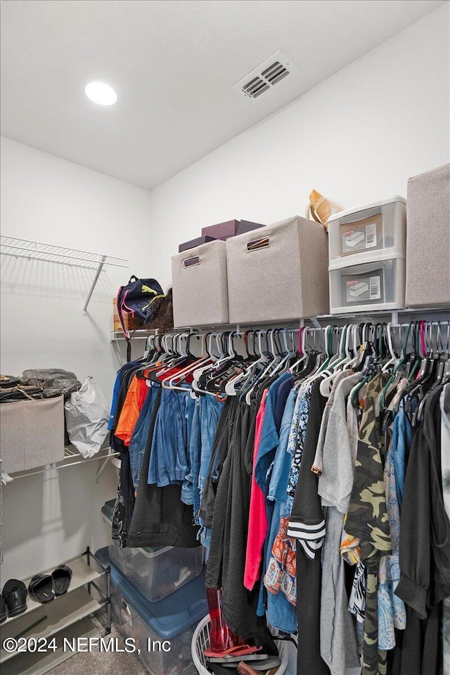 view of spacious closet