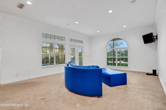 living area featuring crown molding and carpet