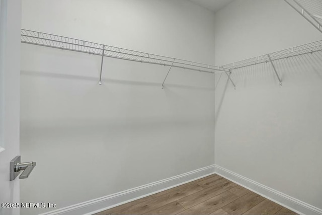 spacious closet featuring wood finished floors