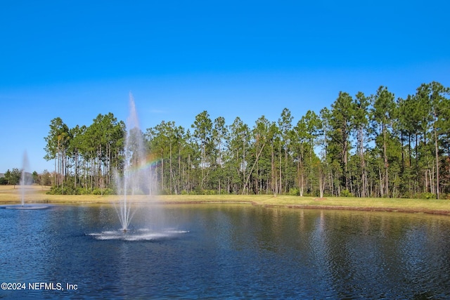 view of water feature