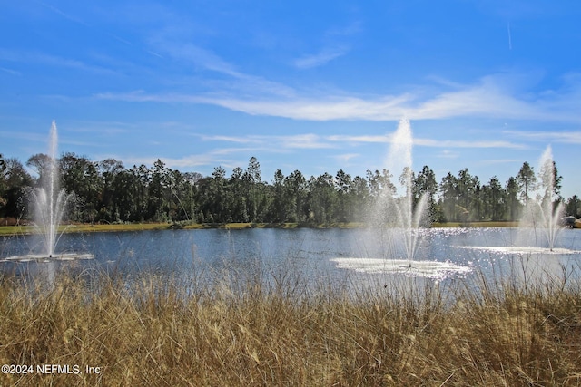 view of water feature