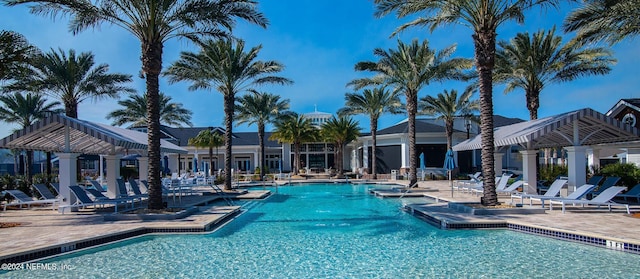 view of swimming pool with a patio