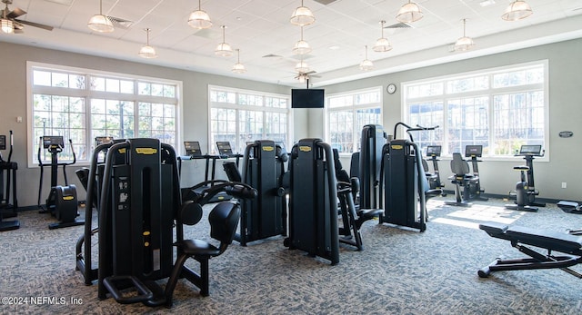 workout area featuring a wealth of natural light, a tray ceiling, ceiling fan, and carpet flooring