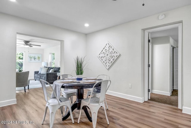 dining space with ceiling fan and light hardwood / wood-style floors