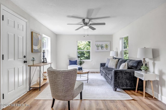 living room with light hardwood / wood-style floors and ceiling fan