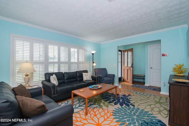 living room with a textured ceiling, crown molding, and hardwood / wood-style floors