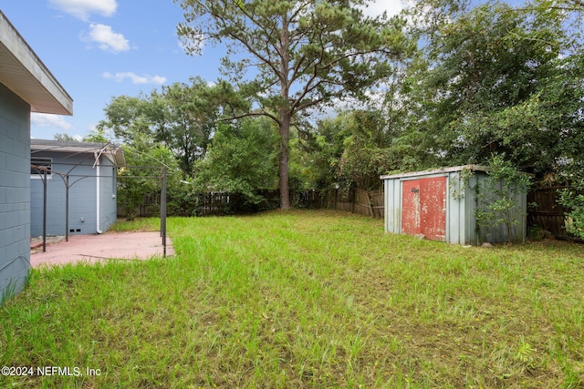 view of yard with a storage unit and a patio area