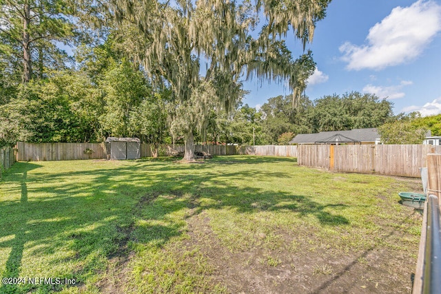 view of yard featuring a shed