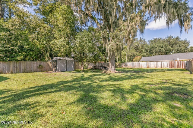 view of yard with a shed