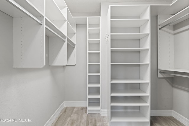 spacious closet with light wood-type flooring