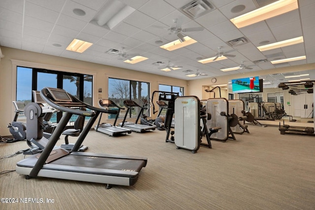 workout area featuring light carpet, a paneled ceiling, and ceiling fan