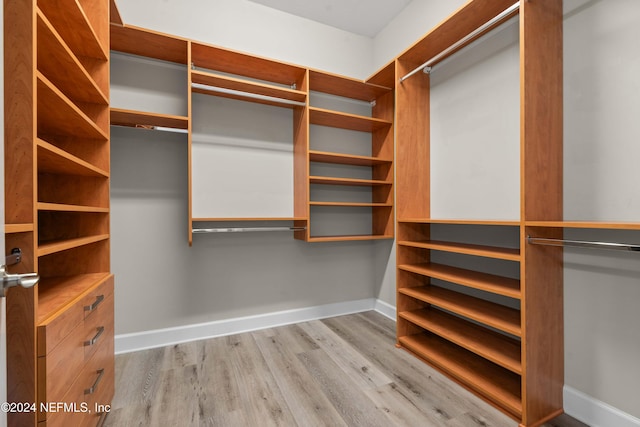 walk in closet featuring light wood-type flooring