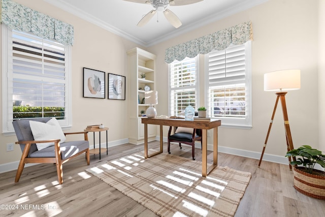 office space with ceiling fan, crown molding, and light hardwood / wood-style flooring