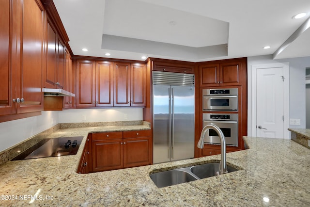 kitchen featuring appliances with stainless steel finishes, a raised ceiling, sink, and light stone counters