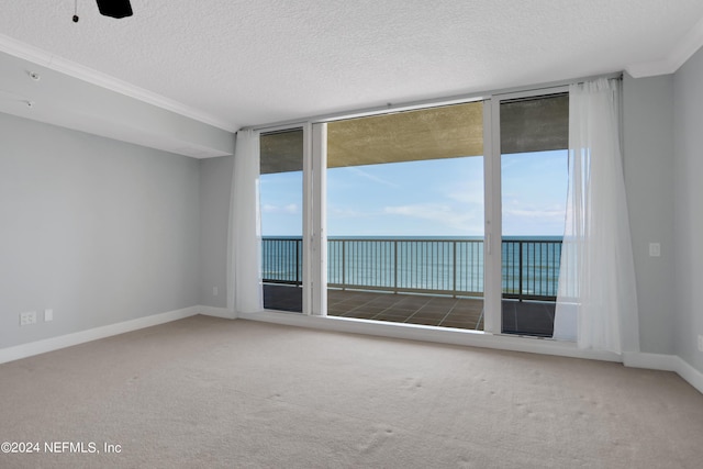 1031 1st St S Unit 504, Jacksonville Beach, FL 32250 - spare room featuring baseboards, a textured ceiling, and carpet