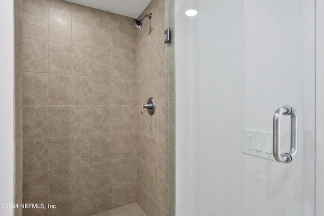 bathroom featuring a shower with shower door