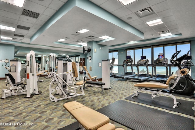 workout area with carpet and a drop ceiling