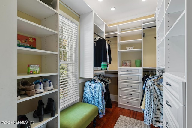 walk in closet with dark wood-type flooring