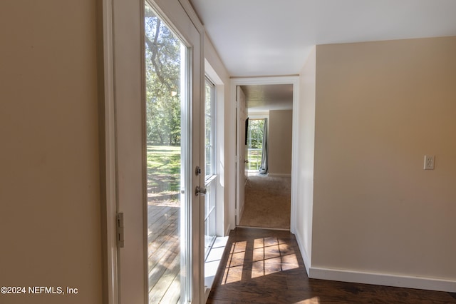 hall featuring dark wood-type flooring and a wealth of natural light