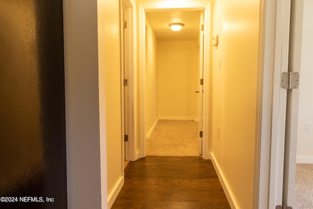 corridor featuring dark wood-type flooring