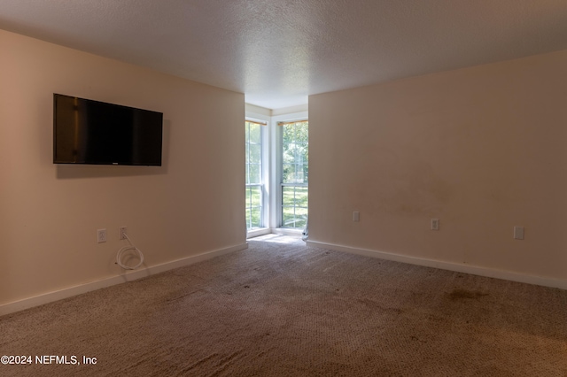 interior space with a textured ceiling and carpet