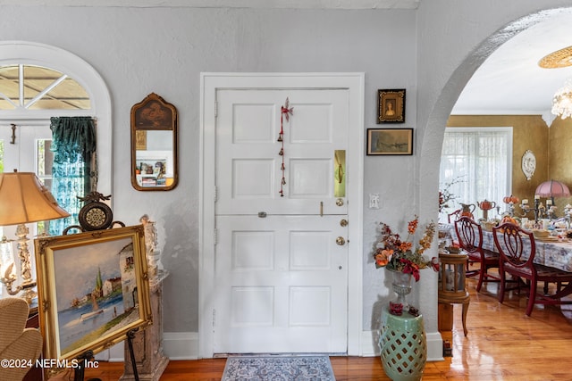 entryway featuring wood-type flooring and a healthy amount of sunlight